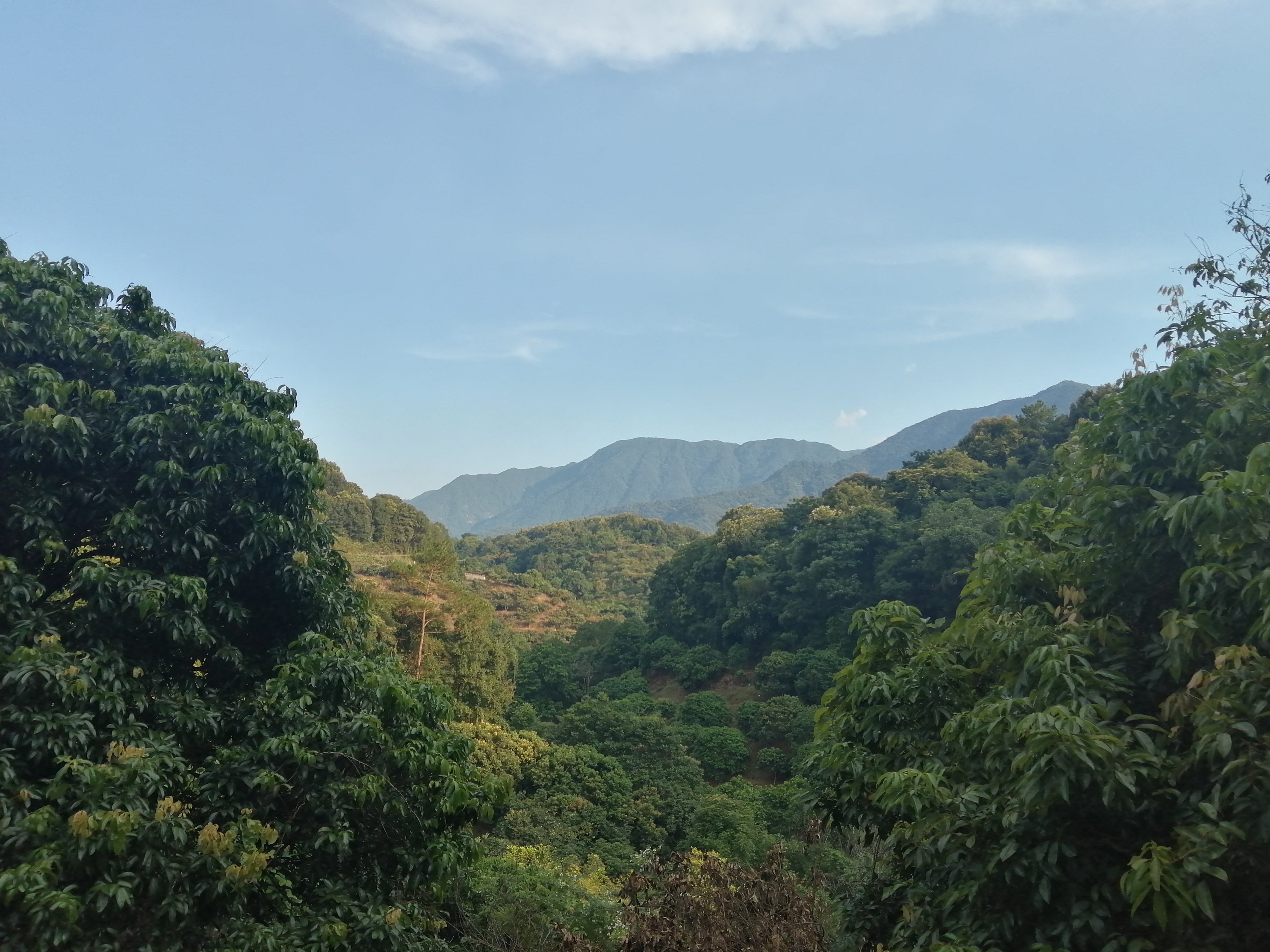 惠州罗浮山酥醪景区天然氧吧,罗浮山酥醪村天然氧吧民宿