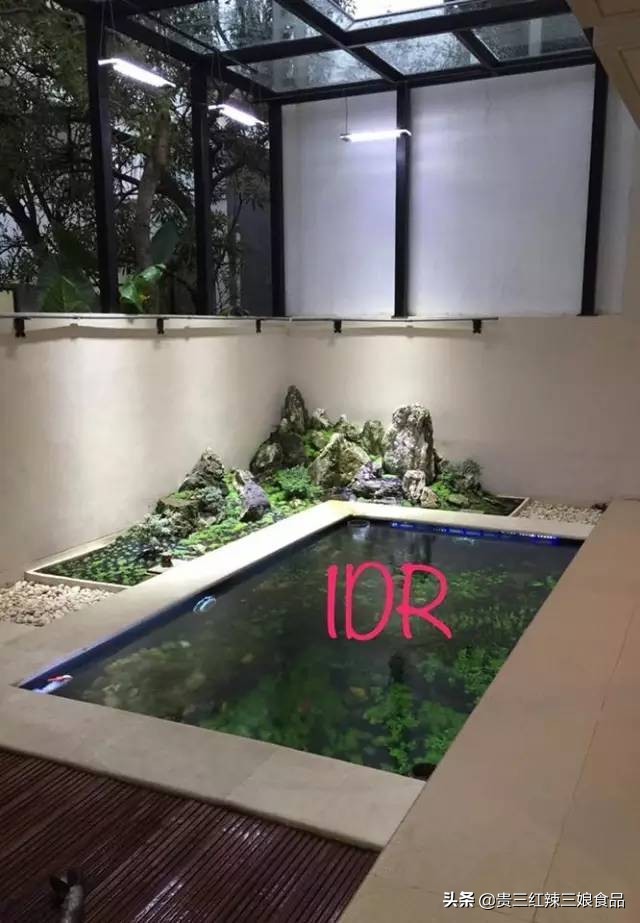 简易鱼池如何养殖虾蟹鱼,自制鱼缸养小龙虾