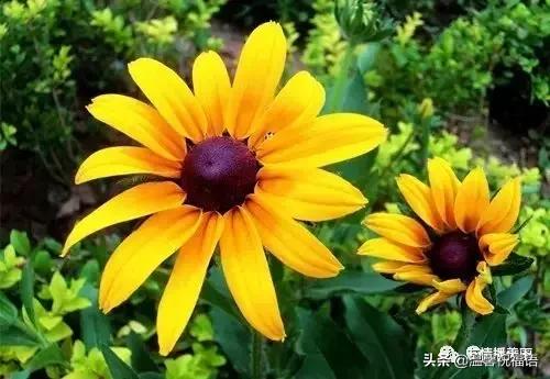 《家庭兴旺歌》《和谐歌》《夫妻歌》太绝了！句句精辟