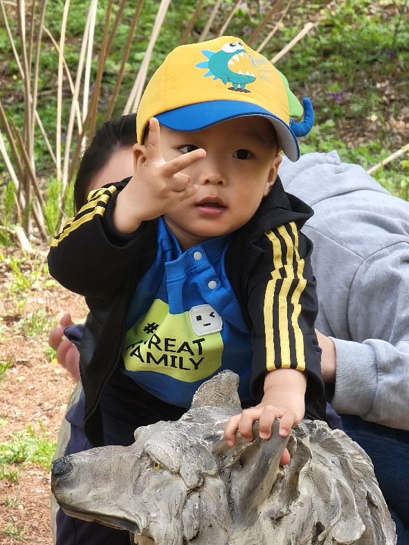 快乐动物园探险,愉快的旅行沈阳森林动物园一日游