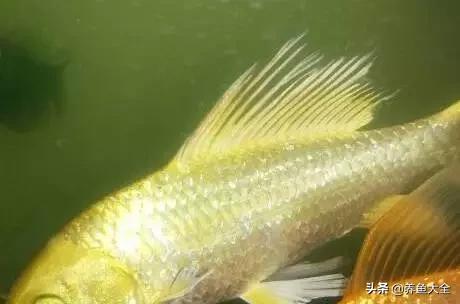 疾病科普小讲堂,疾病知识小讲堂