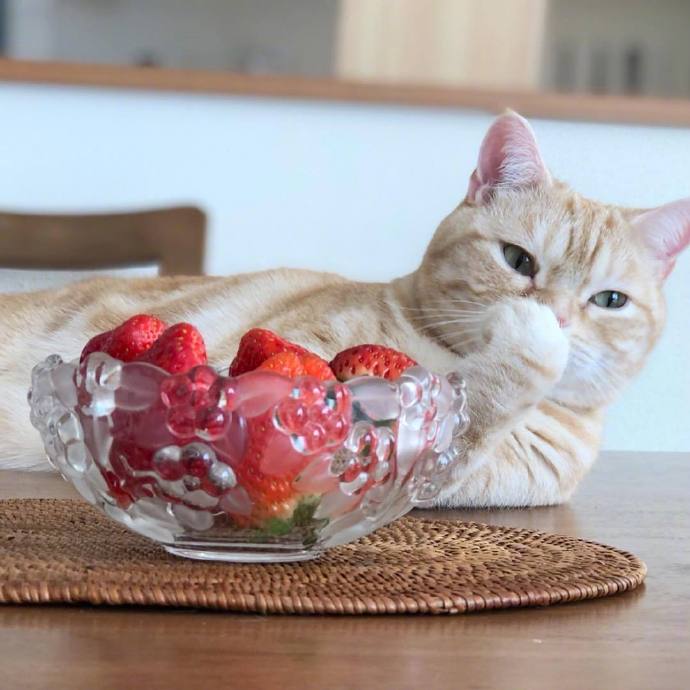 昌山留日说（57）中专毕业生缘何能考上日本最好的公立大学