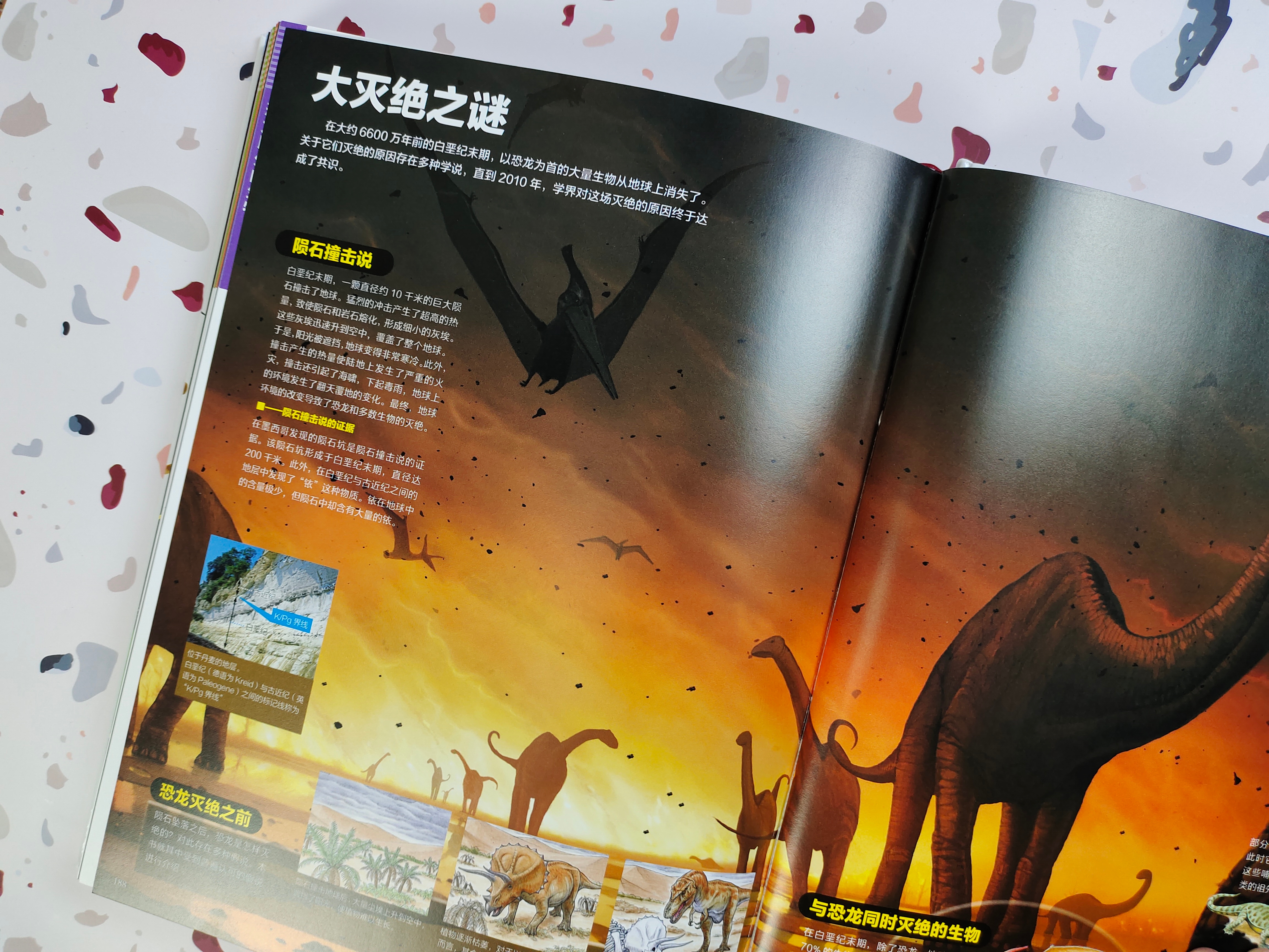 恐龙百科全书恐龙世界的无穷奥秘,世界上最全的恐龙百科全书