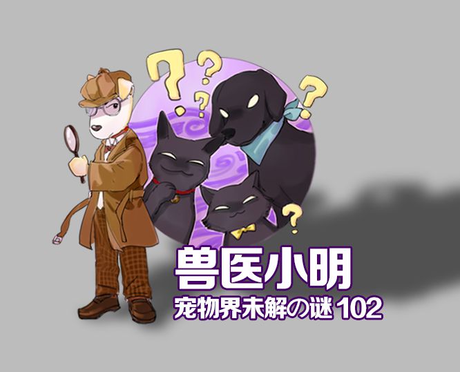 鐙楁參鎬ц偩琛拌兘鍚冮浮铔嬪悧,鐙楃嫍鑲捐“鍙互鍚冮浮铔嬪悧