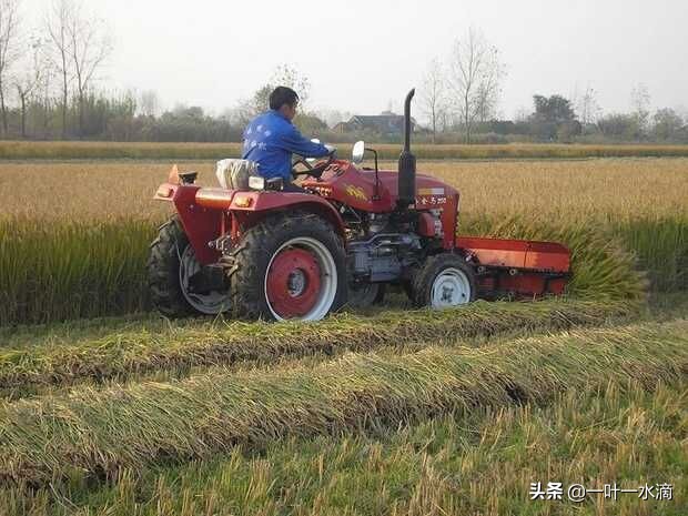 1986年借遍亲友买辆“东方红”农用小四轮后，“官差、亲差”不断