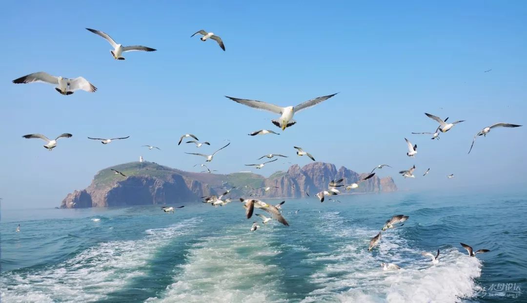 威海生活感受,在威海的精致生活