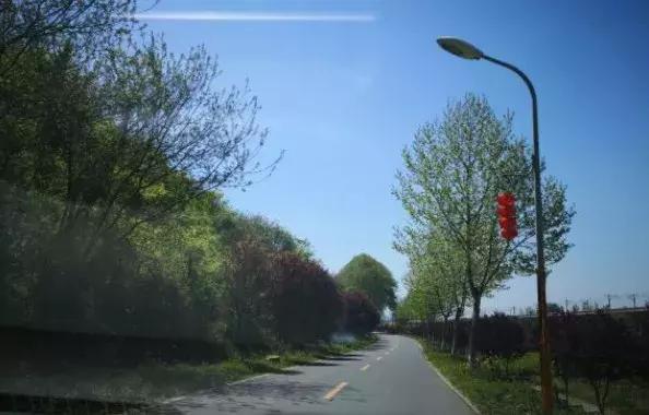 南京哪几个公园免费又好玩,南京莫愁湖公园免费