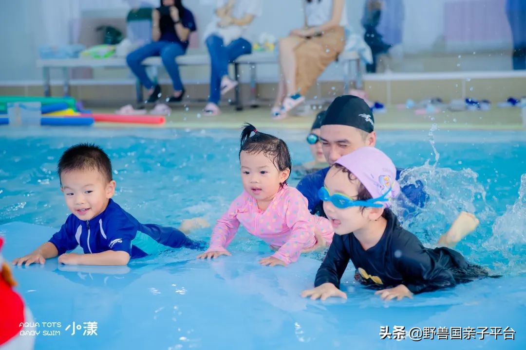 东莞儿童篮球培训机构哪个好,东莞儿童健身球哪家好