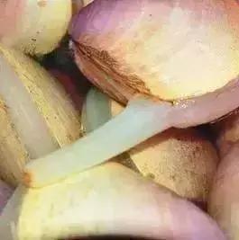 青岛西海岸30多项特产！这鱼还登上央视成了网红