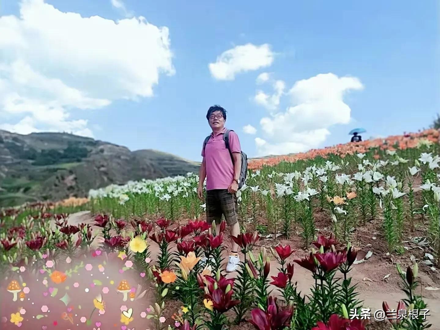 知青那些事儿全集,知青剧那些年那些事