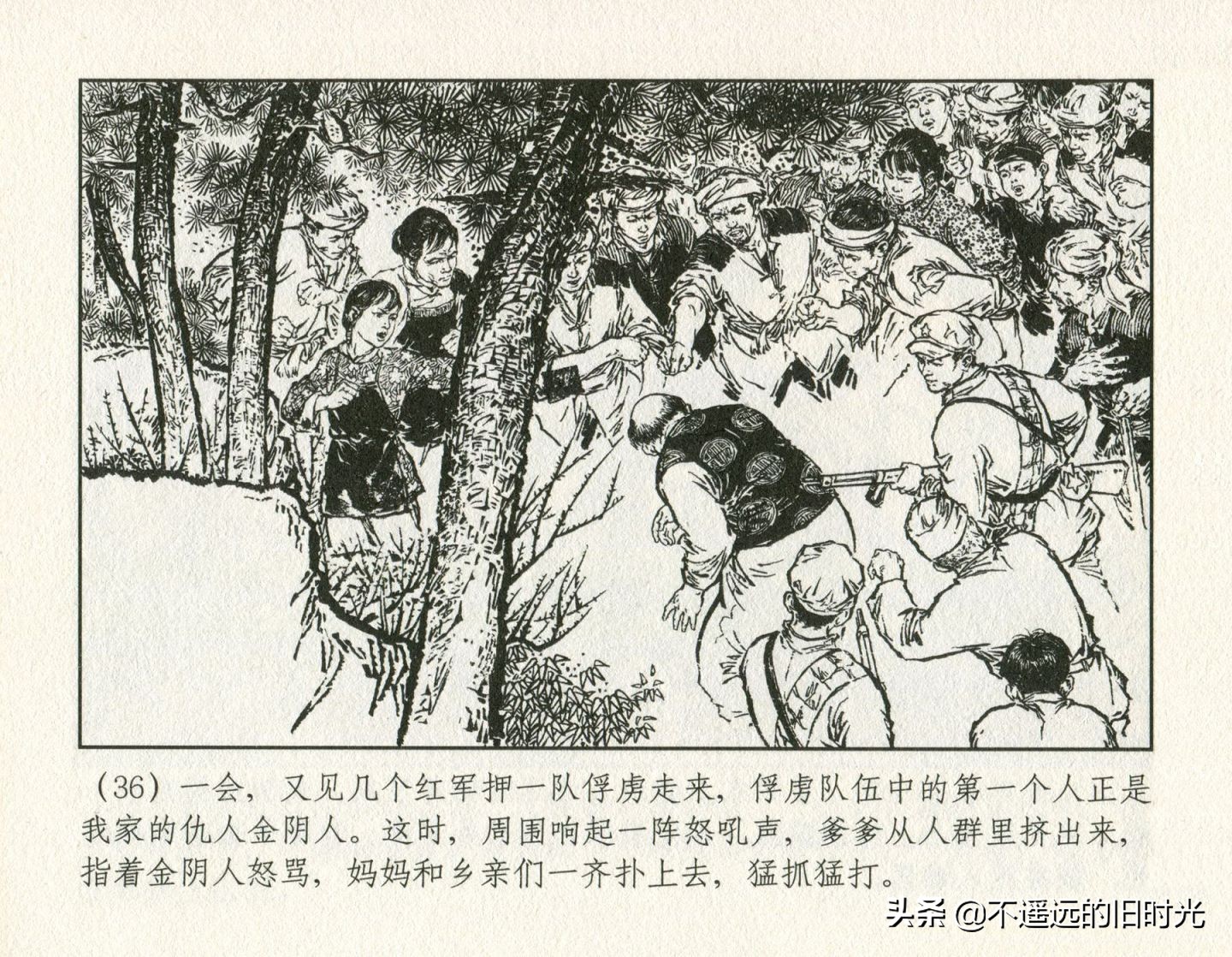 朝阳花-上海人民美术出版社1981初版2016再版陆成法陆小弟绘