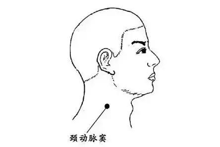 人跟蛇一样有致命“七寸”！这个地方千万别瞎碰，能致死