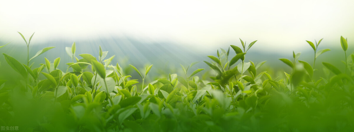 一位大叔查出癌症,七旬老人患癌成功案例