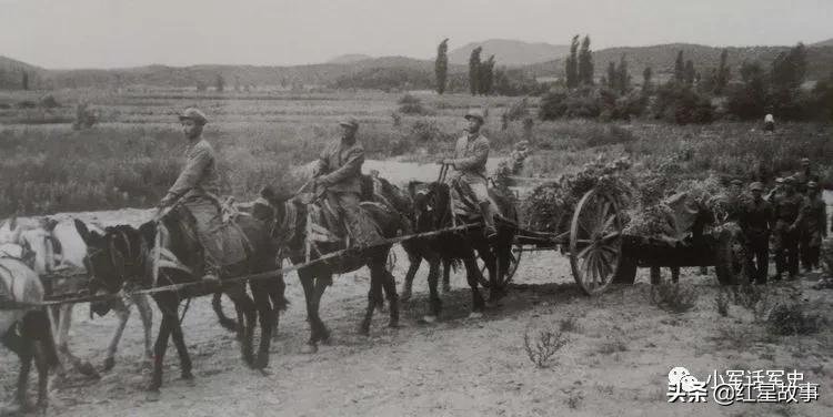 河北高碑店112师炮兵团,光荣的团队有哪些