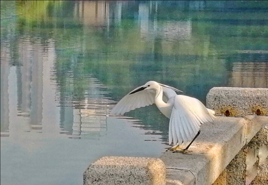 厦门筼筜书院视频,厦门筼筜书院介绍