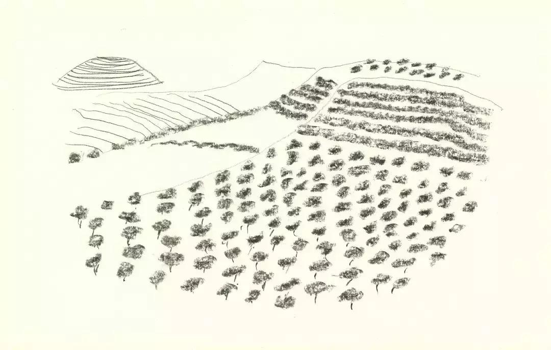 科尔伯,科尔伯山的日文罗马音