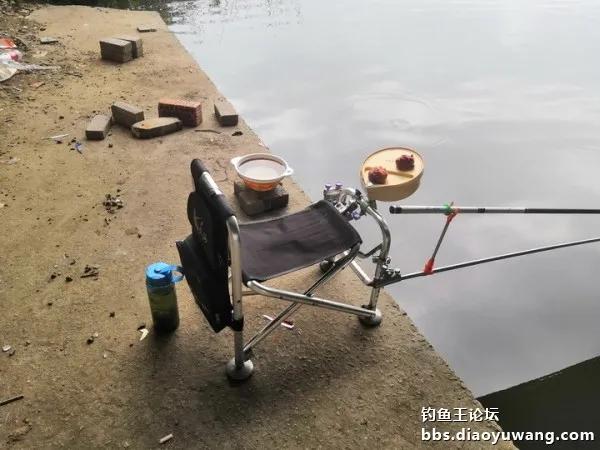 疯钓鲫搭配,疯钓鲫本味单开效果怎么样