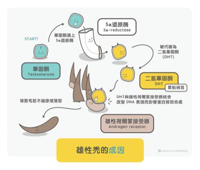 秃发前期头发的样子,斑秃脱发发根又细又白