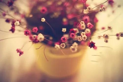 银行从业资格考试可以先考一门吗,银行从业资格考试一年能考几次