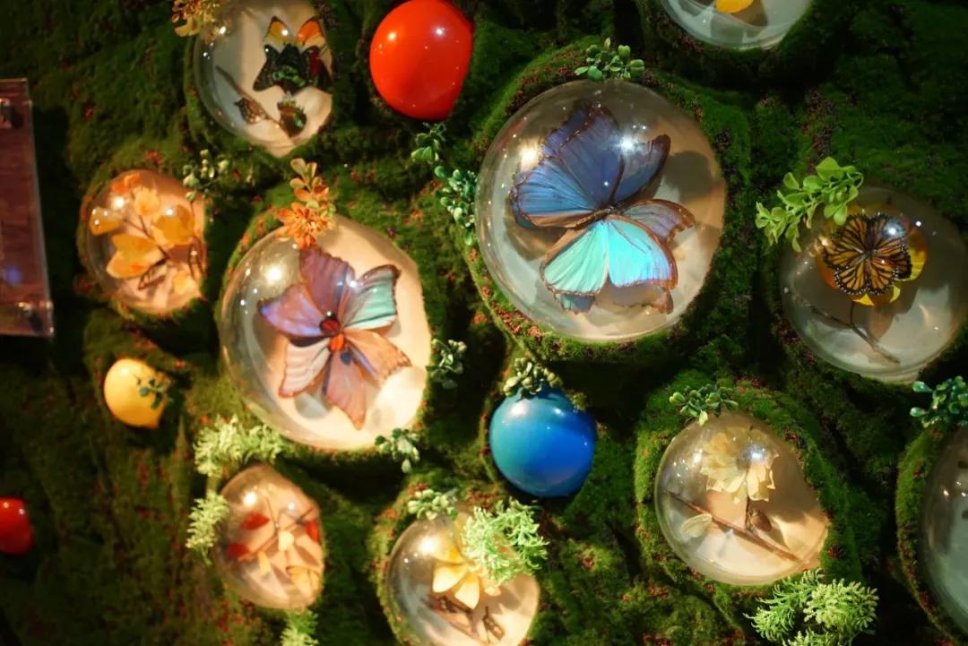 占地30000㎡！这艘建在安华汇天台上的巨船，竟是亲子乐园