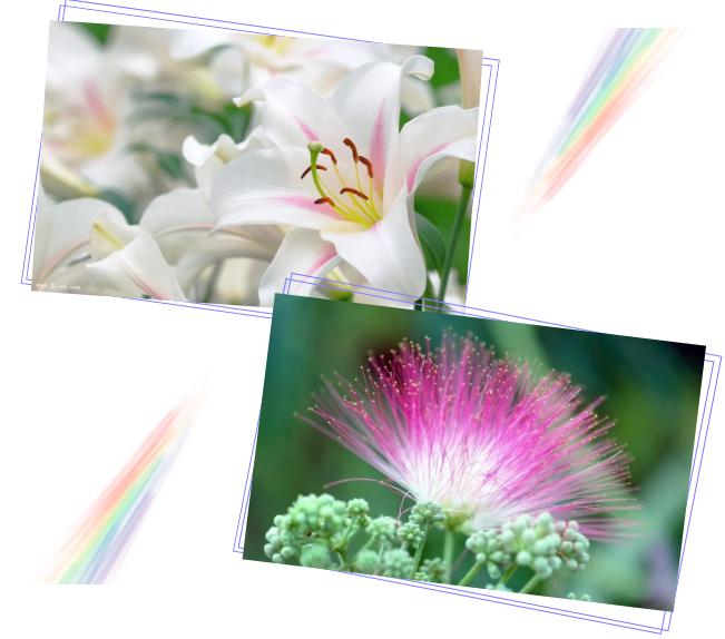 中草药各种花科普,花类的中草药有哪些