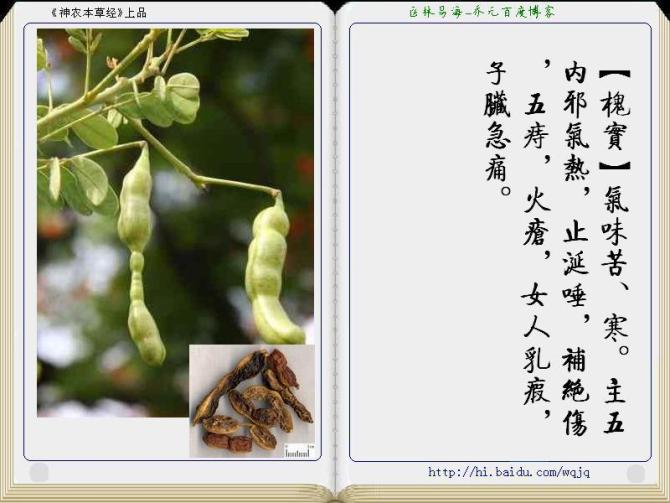本草纲目中药讲解视频,本草纲目中药图谱及药理讲解