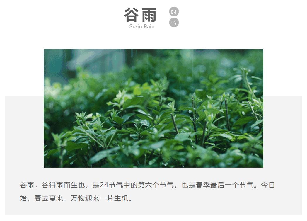 春天的芦笋格外鲜嫩,脆甜多汁的芦笋