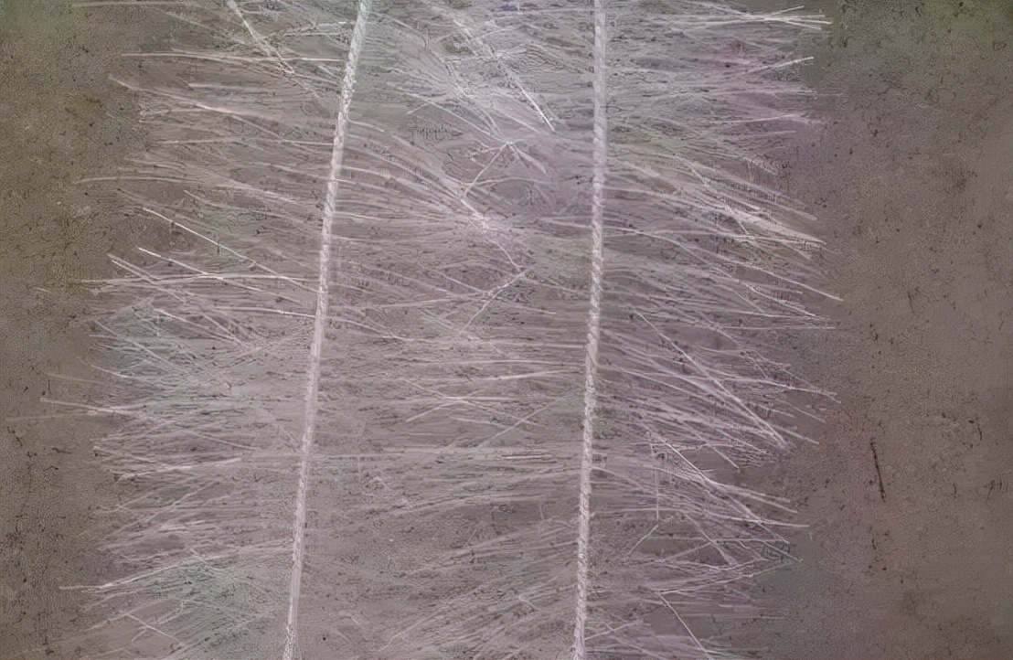 污水处理厂填料的分类与选择ppt,各种填料在污水处理中的使用