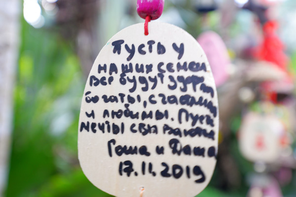 海南呀诺达热带雨林文化旅,三亚诺达雨林旅游攻略