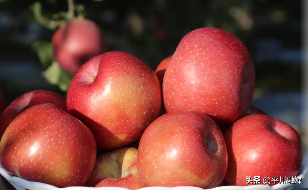 又香又脆又甜的苹果,好吃的苹果又脆又甜青苹果