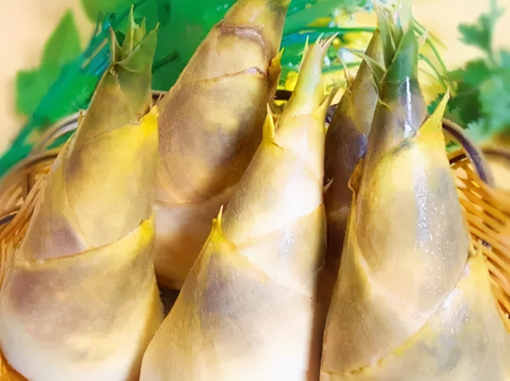 黄山2日旅行计划,2021黄山之旅