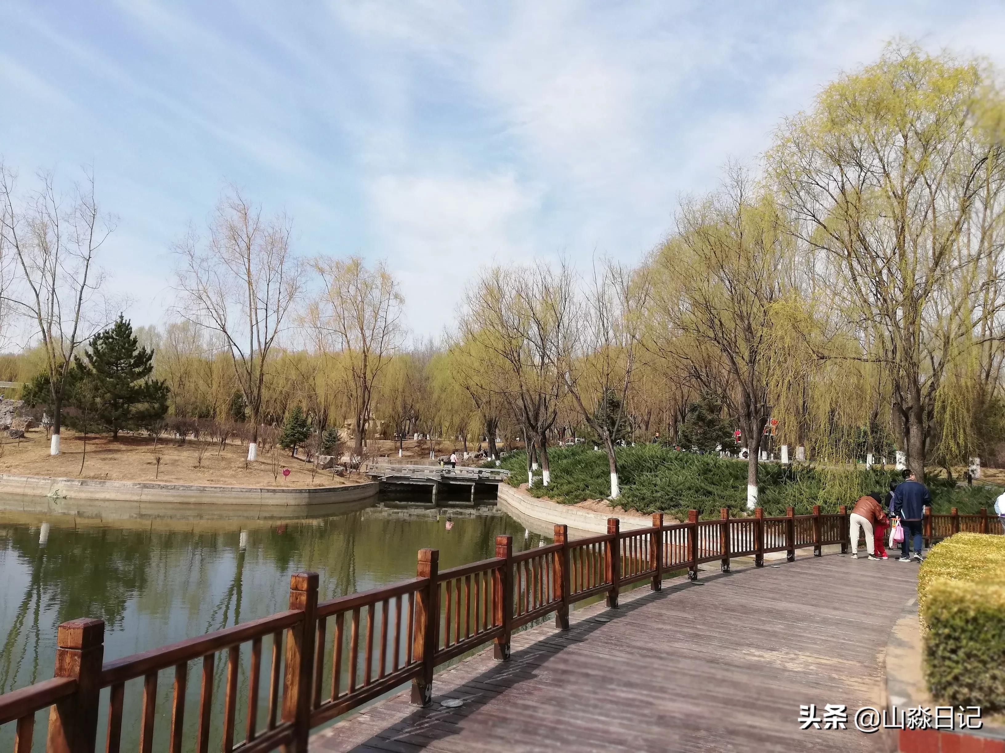 桃花，柳树，父子