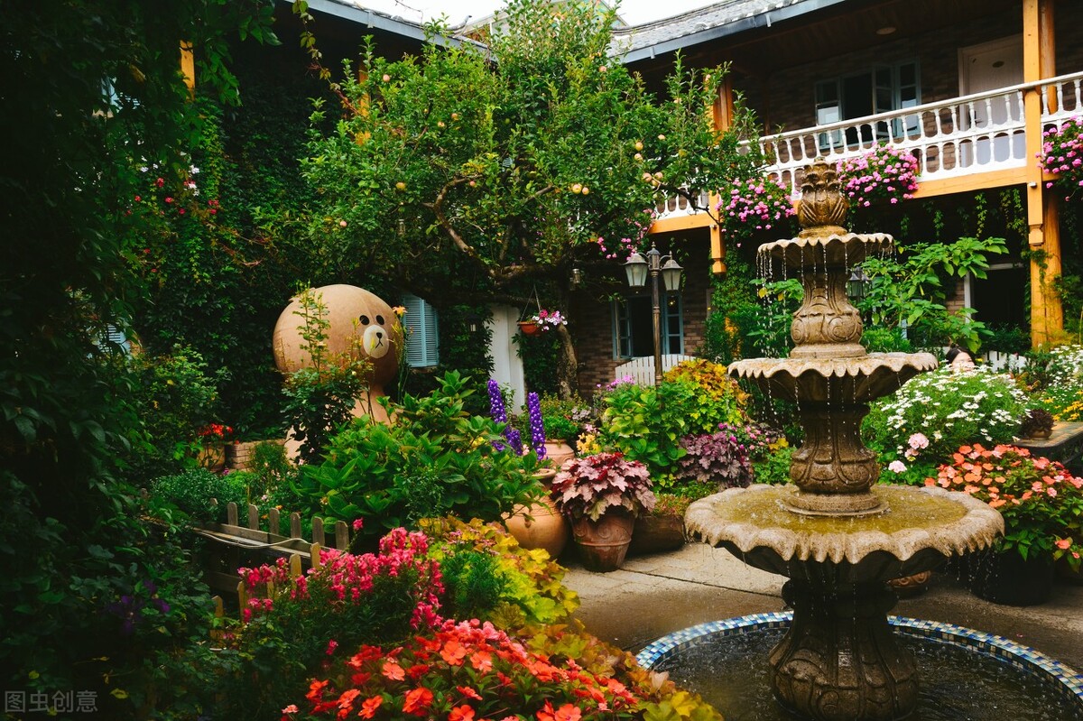 院子里有一片空地适合种什么,院子里有块空地种什么菜