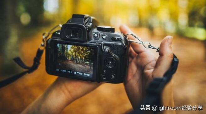 怎样使用单反相机拍照,如何学习相机拍照