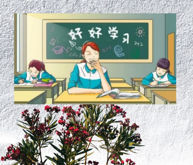 认识很多单词但不会拼写，怎么做？完形填空和阅读理解可以得高分