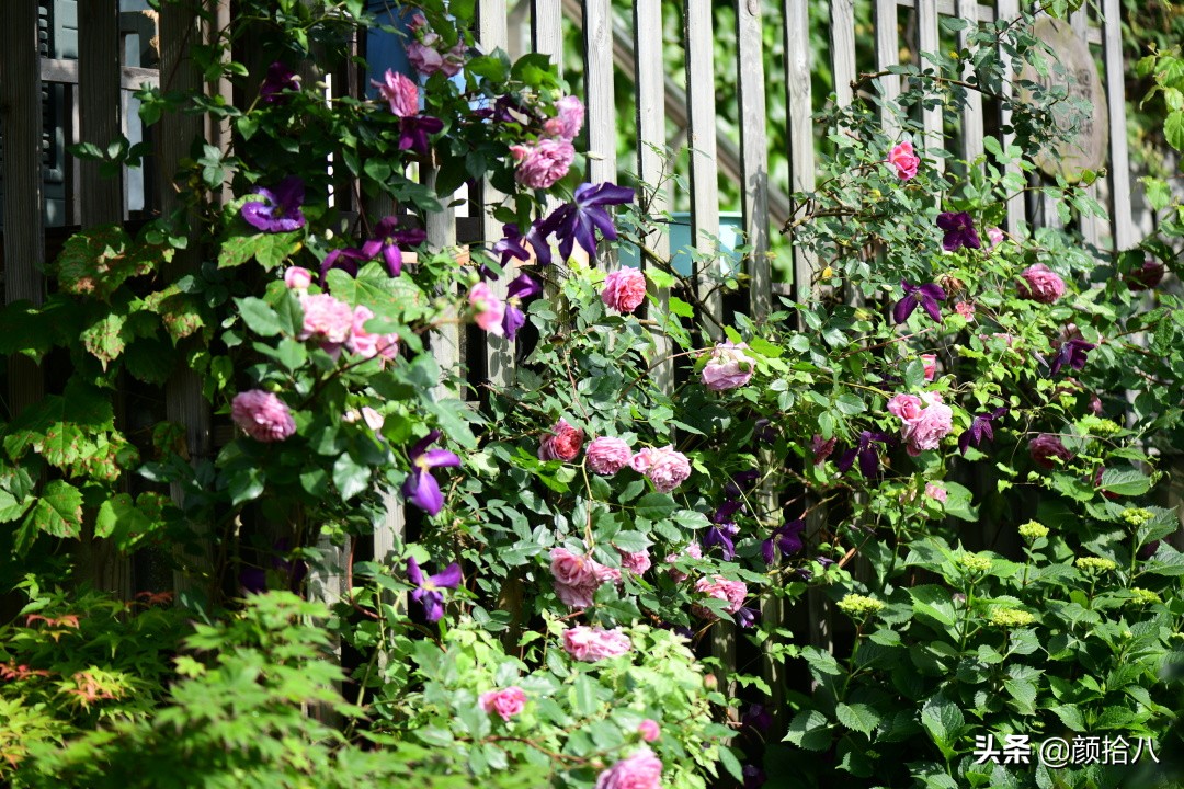 愿时光静止,愿时光静止在这一刻