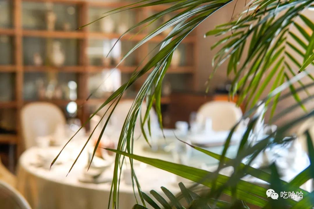 北京探店东北菜,北京探店这家宝藏店铺快来逛