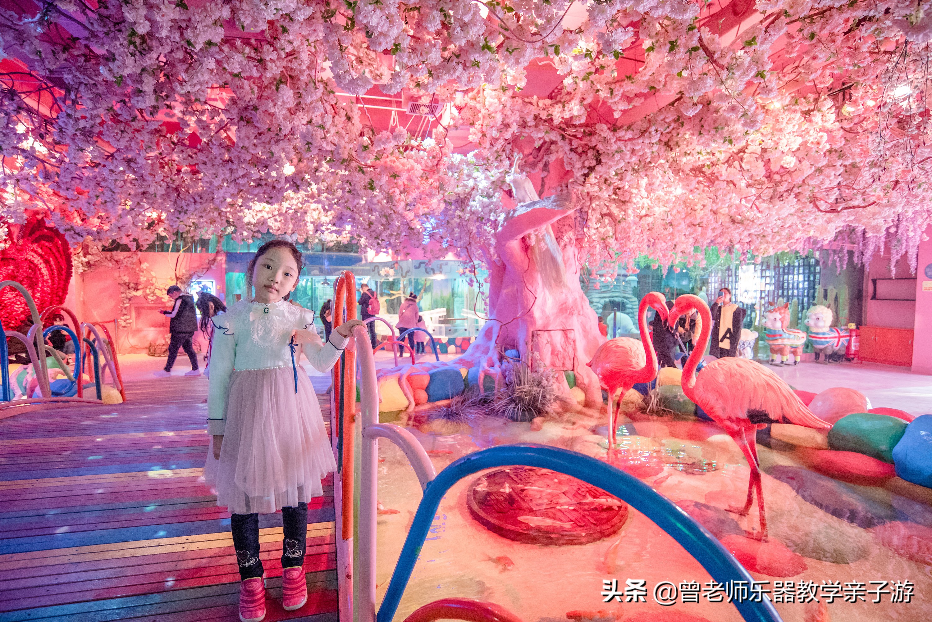 西安太奥海洋馆,西安极地海洋世界海豚表演