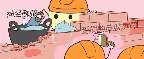 皮肤屏障受损为什么脸特别红,脸皮肤屏障受损严重怎么办