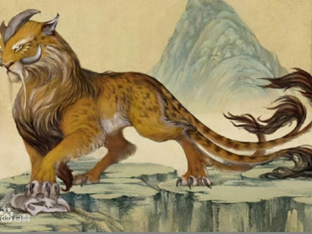 丑陋又凶狠的吃人怪兽，世界最臭的动物，看它如何痛改前非受欢迎