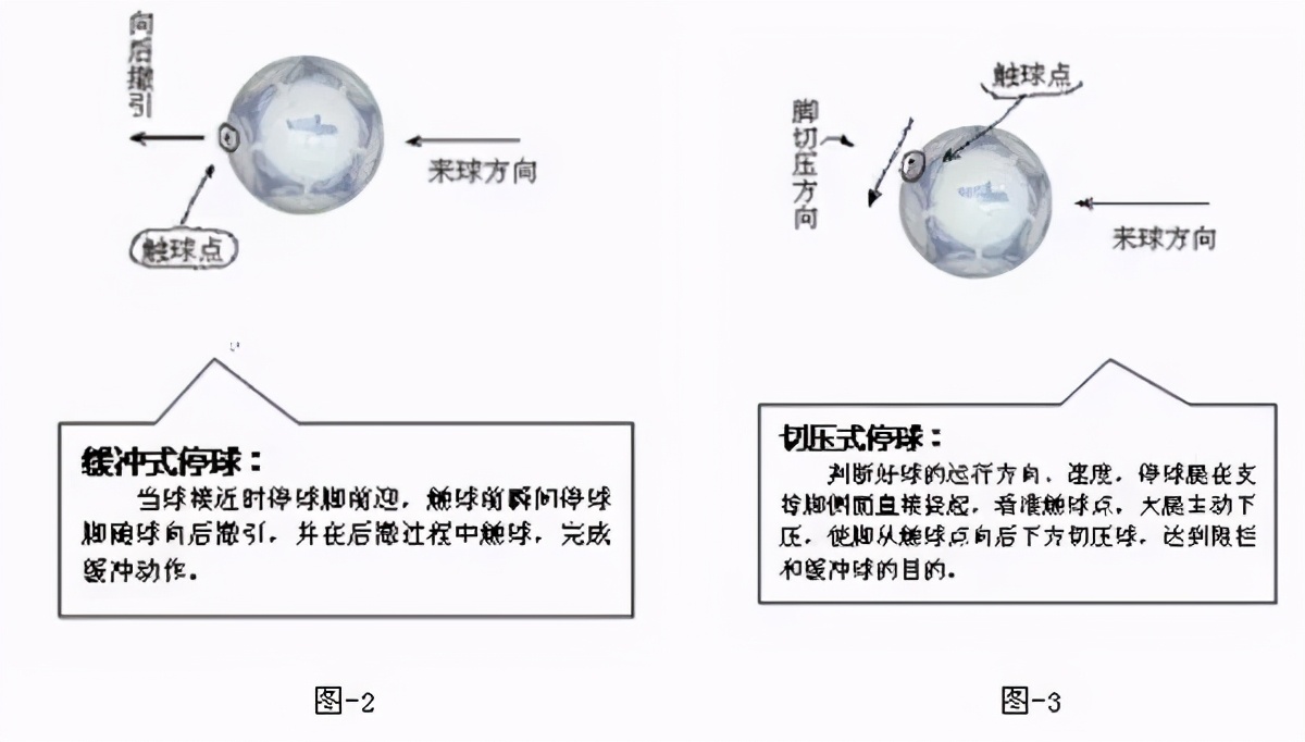 体育教学挂图动作图解,体育课动作教学