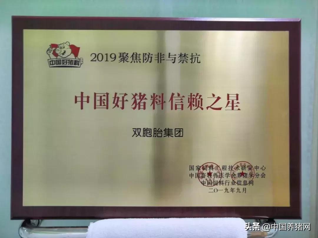 喜讯获一等奖,恭喜喜获一对双胞胎