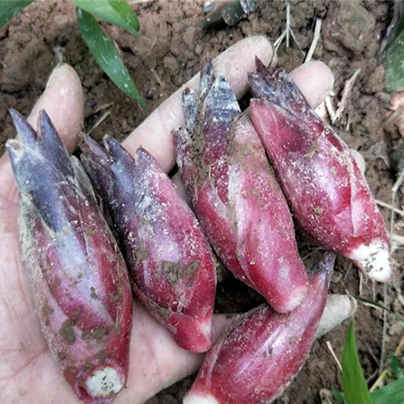 不得不说的濮阳美食,好吃的恩施特色美食价格