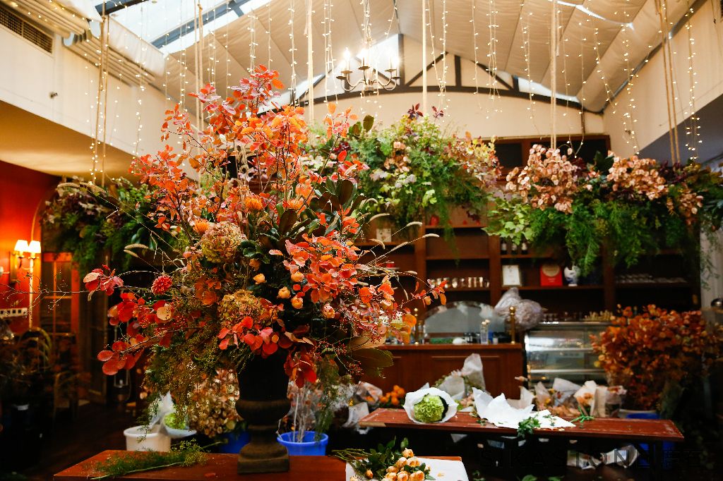 香山漫步美景,香山四季景色