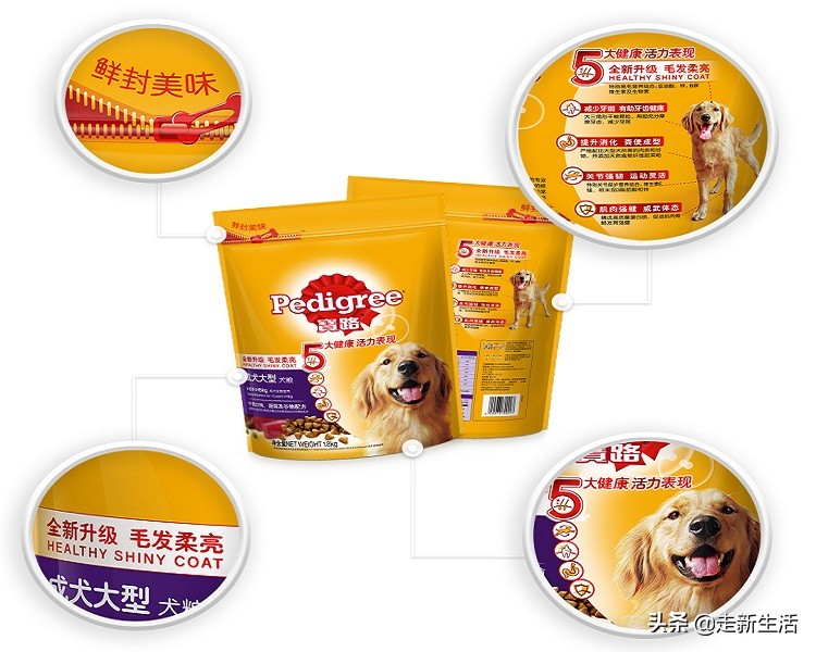 新手铲屎官要养狗要准备什么,新铲屎官养狗必备好物