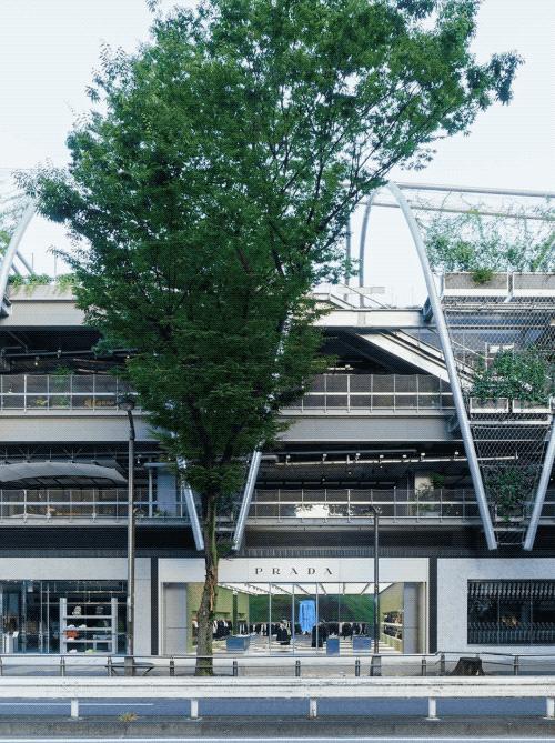 prada品牌墙,prada设计用色