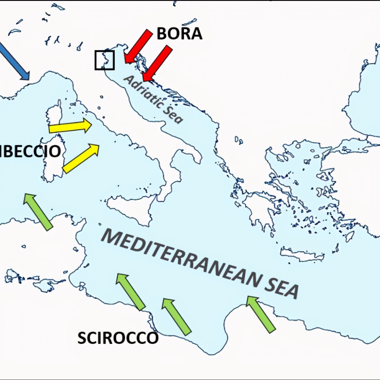 德国大众旗下的汽车,德国大众汽车都叫什么