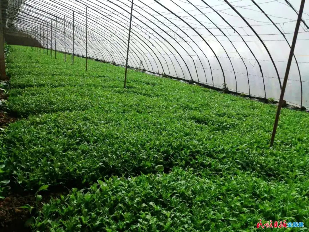 2022年临夏创业贷款什么时候开始,临夏县创业担保贷款详细流程