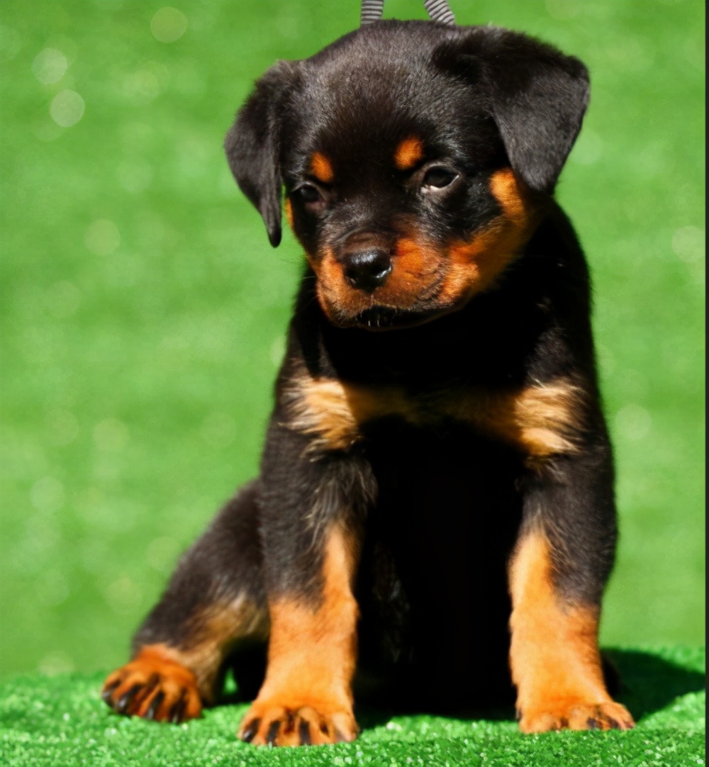 520送对象礼物攻略,520节日的时候送什么礼物最好情侣