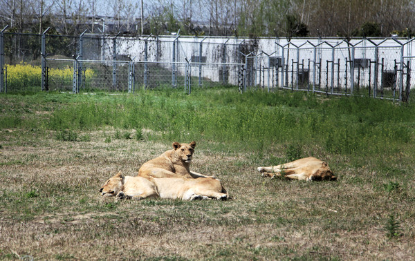 春游江淮请你来滁州版,春游江淮等您来